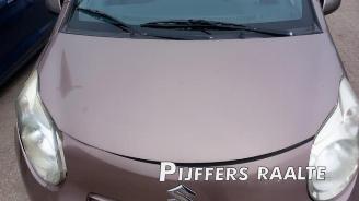 Suzuki Alto Alto, Hatchback 5-drs, 2009 1.0 12V picture 13