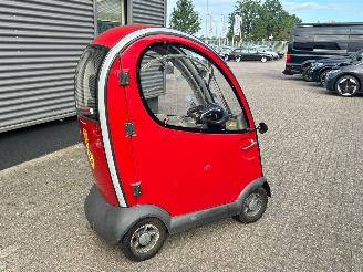 Mango  Napoleon picture 2