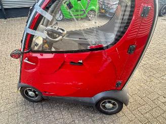 Mango  Napoleon picture 7