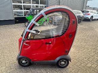 Mango  Napoleon picture 4