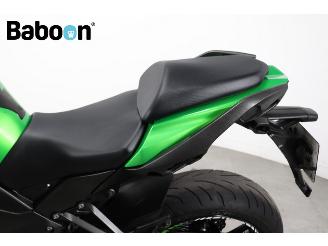 Kawasaki Z 1000 SX ABS picture 11