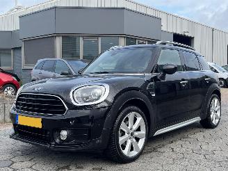 uszkodzony samochody osobowe Mini Countryman 1.5 Chili 2018/9
