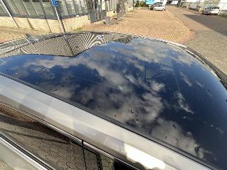 Lexus NX 300H AWD President Line picture 8