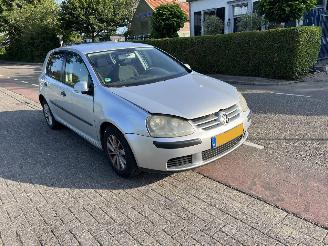 Volkswagen Golf 1.6 FSi picture 1