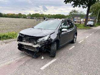 Peugeot 2008 1.2-12V THP Puretech picture 2
