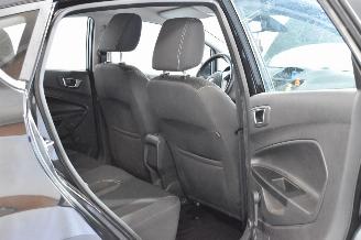 Ford Fiesta 1.0 Ecoboost Titanium picture 15