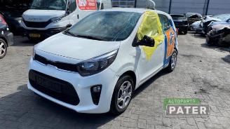 Vrakbiler auto Kia Picanto Picanto (JA), Hatchback, 2017 1.0 DPi 12V 2023/10