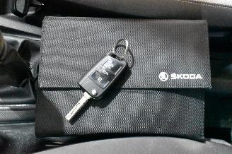 Skoda Fabia  picture 31