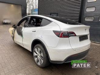 Tesla Model Y Model Y (5YJY), SUV, 2019 Long Range,Performance AWD picture 6