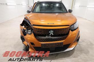 Peugeot 2008 2008 (UD/UK/UR/US/UX), MPV, 2019 e-2008 50 kWh picture 5