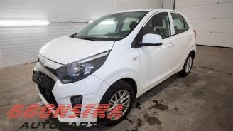 rozbiórka samochody osobowe Kia Picanto Picanto (JA), Hatchback, 2017 1.0 DPi 12V 2023/6
