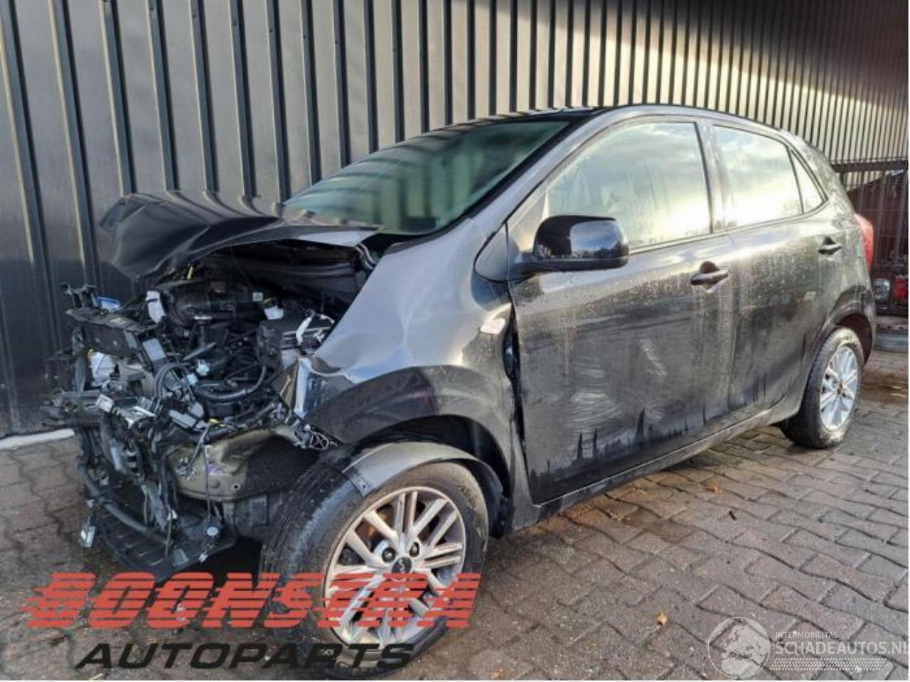 Kia Picanto Picanto (JA), Hatchback, 2017 1.0 DPI 12V