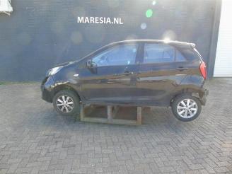 Vrakbiler auto Kia Picanto Picanto (TA), Hatchback, 2011 / 2017 1.0 12V 2014/1