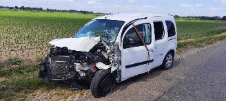 disassembly passenger cars Renault Kangoo 1.2 tce 2016/4