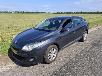 Renault Mégane Estate 1.5 Dcif picture 1