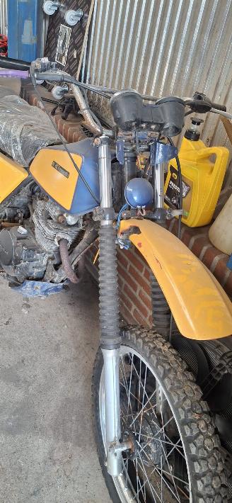 Kawasaki   picture 1