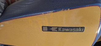Kawasaki   picture 6
