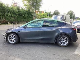Tesla Model Y Model Y (5YJY), SUV, 2019 / 2025 RWD picture 8