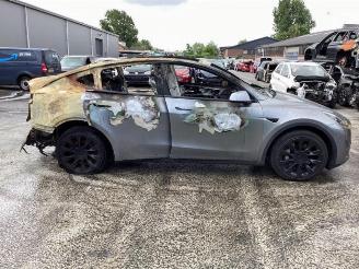 Tesla Model Y Model Y (5YJY), SUV, 2019 Long Range,Performance picture 4