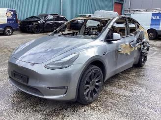 Uttjänta bilar auto Tesla Model Y Model Y (5YJY), SUV, 2019 Long Range,Performance 2023/9