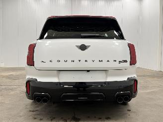 Mini Countryman 2.0 JCW ALL4 Autom. 221kw Navi Clima picture 6