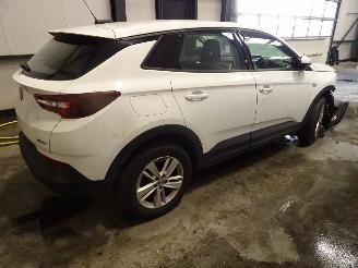 Opel Grandland 1.2 turbo picture 2