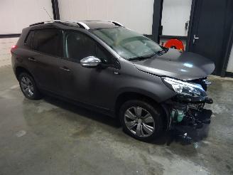 Peugeot 2008 1.2 vti picture 1