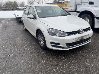 Volkswagen Golf 1.2 tsi kleurcode L0K1 picture 2