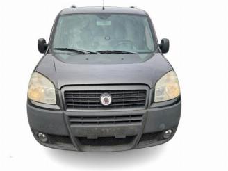 Fiat Doblo Doblo Cargo (223), Van, 2001 / 2010 1.9 JTD Multijet picture 2