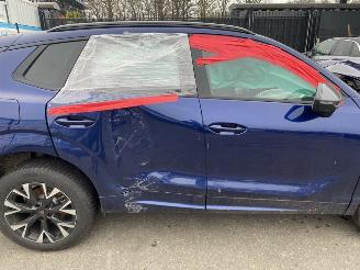 Seat Terra CUPRA Terramar 1.5 e-Hybrid 150kW picture 11