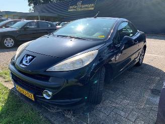 Peugeot 207  picture 1