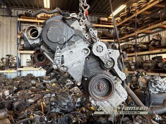 Volkswagen Golf Golf V Variant (1K5), Combi, 2007 / 2009 1.9 TDI picture 15