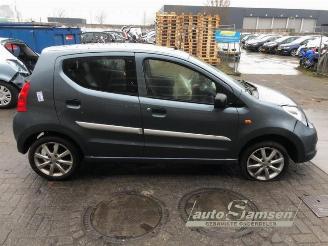 Suzuki Alto Alto, Hatchback 5-drs, 2009 1.0 12V picture 3