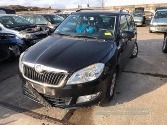 Skoda Fabia Fabia II Combi, Combi 5-drs, 2007 / 2015 1.2 TSI picture 9