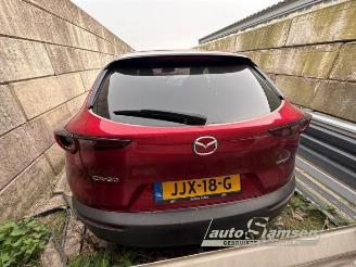 Mazda CX-30 CX-30 (DM), SUV, 2019 2.0 e-SkyActiv-G 150 16V picture 7