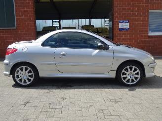 Peugeot 206 CC Cabrio 1.6-16V Quiksilver, Climate & Cruise control picture 6