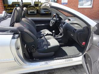 Peugeot 206 CC Cabrio 1.6-16V Quiksilver, Climate & Cruise control picture 9