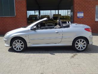 Peugeot 206 CC Cabrio 1.6-16V Quiksilver, Climate & Cruise control picture 10
