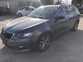 skadebil auto Skoda Octavia Octavia Combi 1.0 TSI Greentech Ambition Business 2019/8