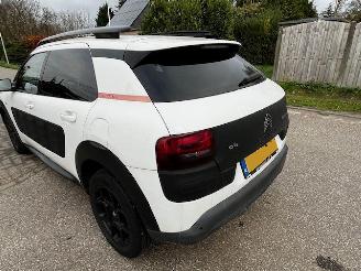 Citroën C4 cactus 1.2 puretech shine picture 5