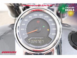 Harley-Davidson Sport Glide 107 FLSB 5HD LED ABS picture 26