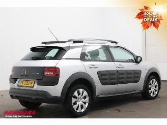 Citroën C4 cactus 1.2 PureTech Feel Airco Navi PDC picture 3