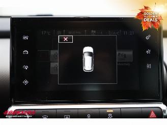 Citroën C4 cactus 1.2 PureTech Feel Airco Navi PDC picture 22