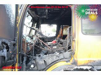 Mercedes Atego 1224 De Groot DGT Brille Winde picture 9