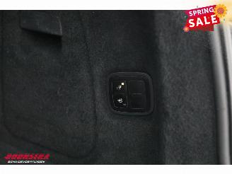 Porsche Cayenne 3.0 S E-Hybrid Sport Design BiXenon Memory Leder SHZ AHK picture 26