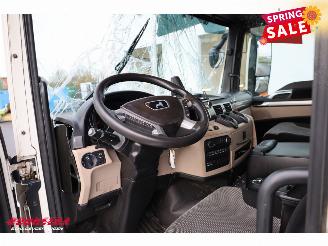 MAN TGS 18.320 Full Air LBW Dhollandia Camera Navi picture 27