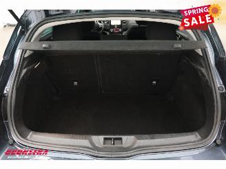 Renault Mégane 1.2 TCe Limited Navi Clima Cruise PDC picture 16