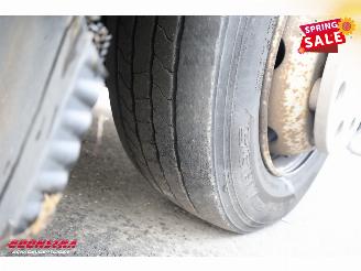 Renault Midlum 220.12 Kuhlkoffer Thermo King Dhollandia LBW Euro 5 picture 29