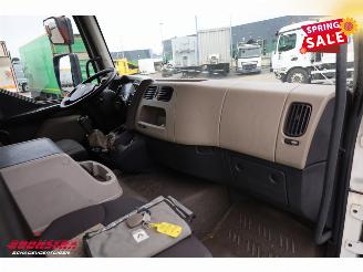 Renault Midlum 220.12 Kuhlkoffer Thermo King Dhollandia LBW Euro 5 picture 16