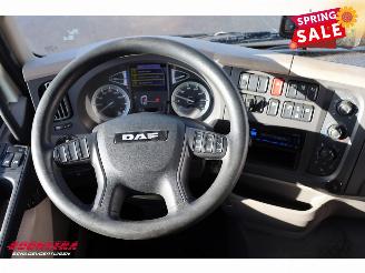 DAF LF 210 FA Aut. LBW Bak-Klep Dhollandia ACC 368.328 km! picture 31